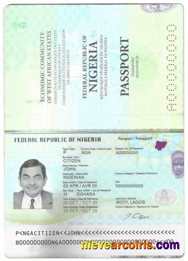 Nigeria passport 2019 – present